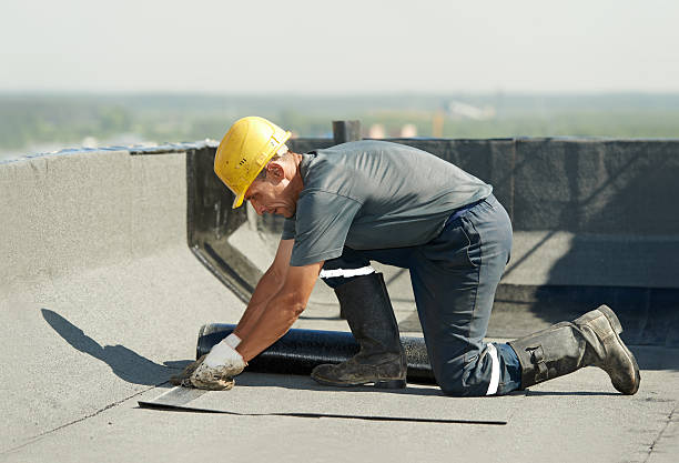 Best Local Insulation Services  in Kiln, MS